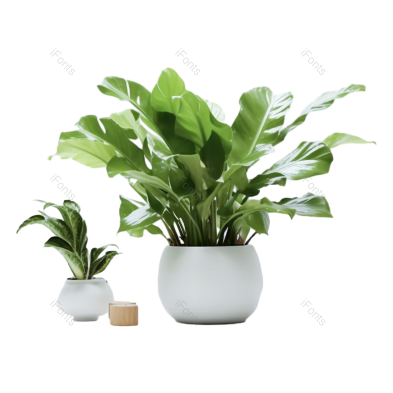 白色图片,白色背景元素,办公室PNG,办公用品免抠素材